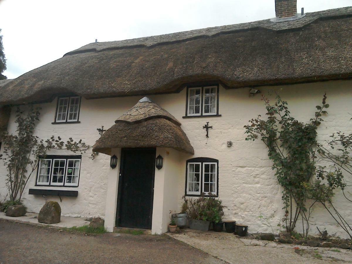 Alvediston The Crown Inn المظهر الخارجي الصورة