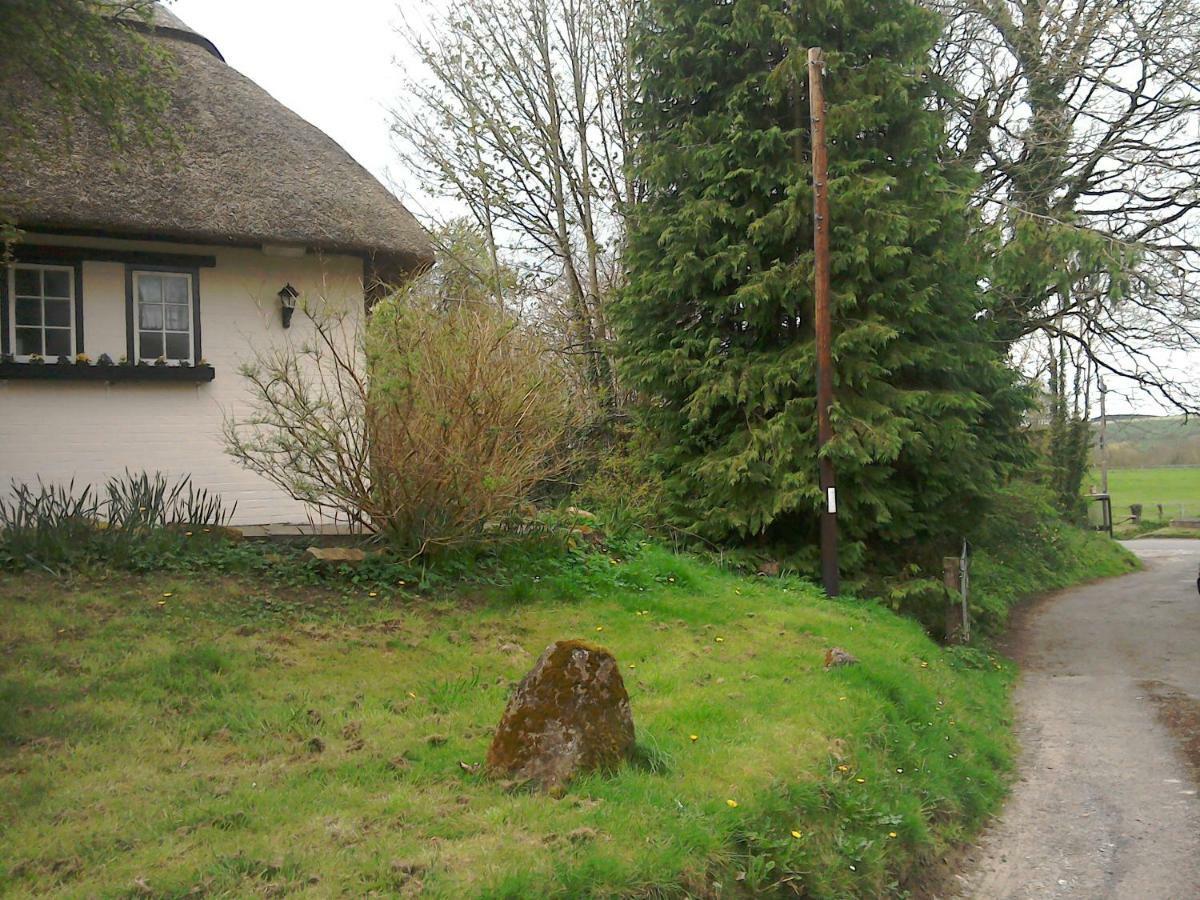 Alvediston The Crown Inn المظهر الخارجي الصورة