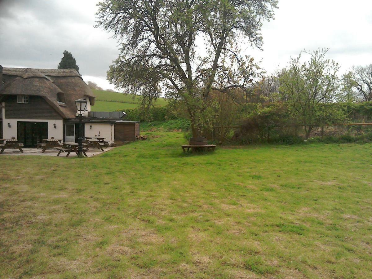 Alvediston The Crown Inn المظهر الخارجي الصورة