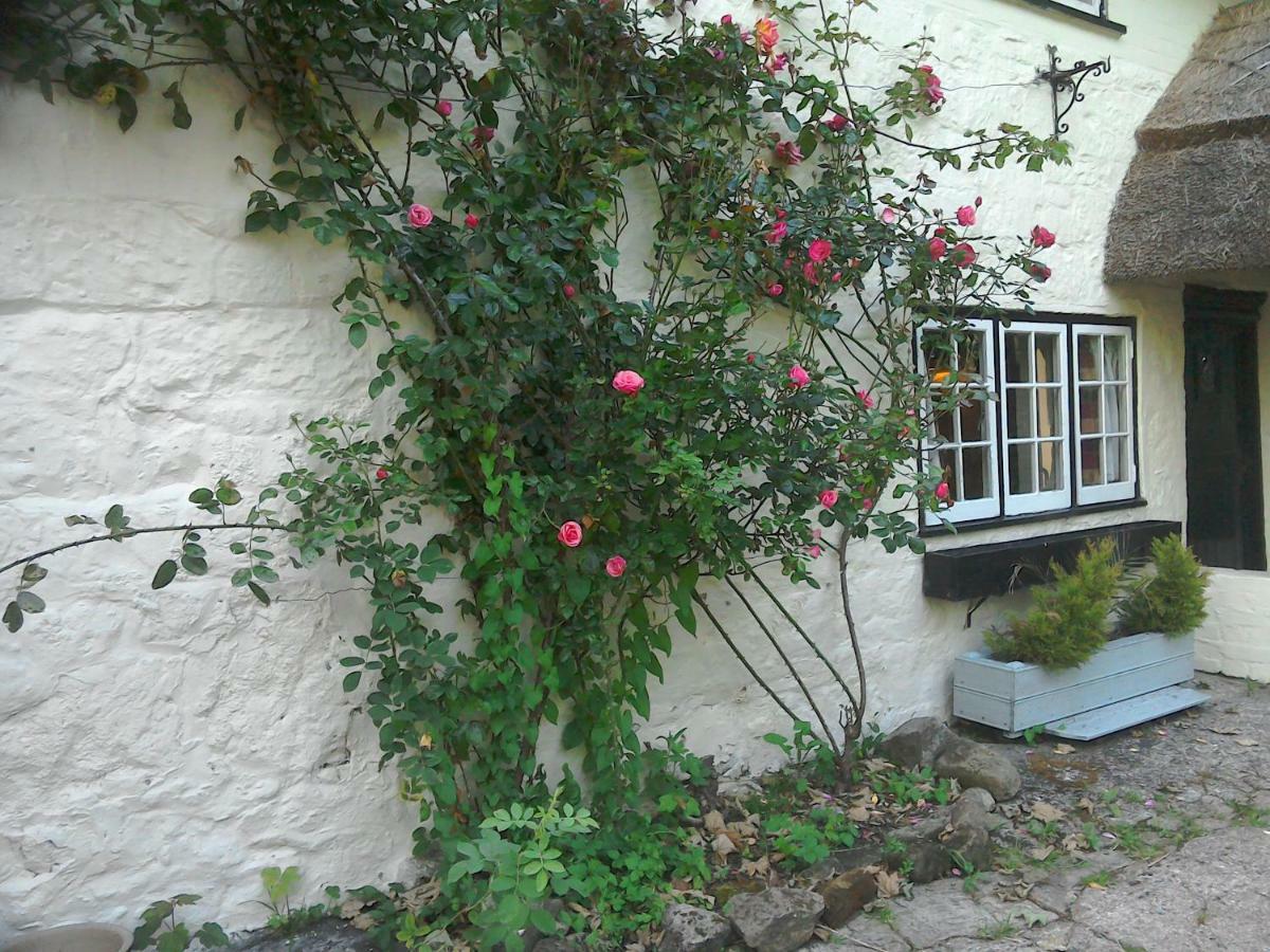 Alvediston The Crown Inn المظهر الخارجي الصورة