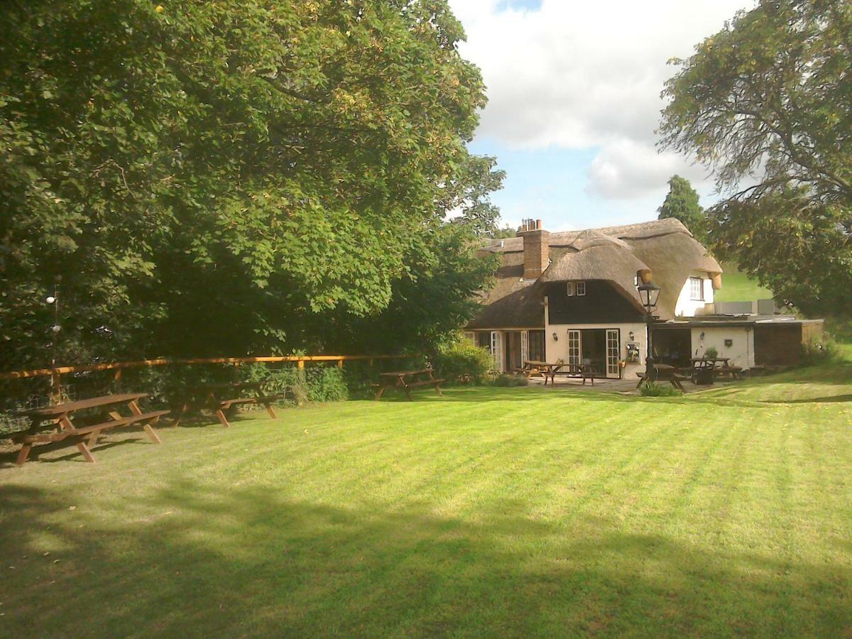 Alvediston The Crown Inn المظهر الخارجي الصورة