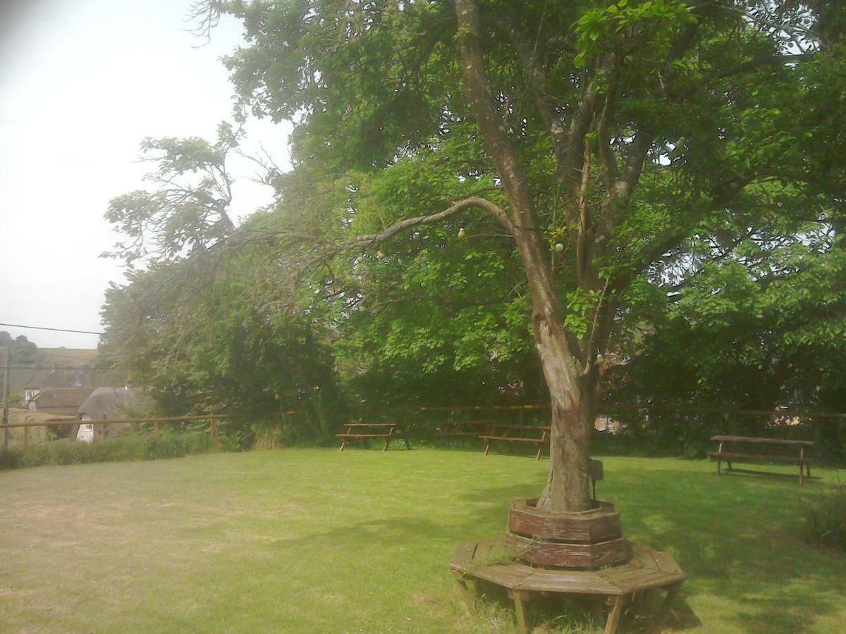 Alvediston The Crown Inn المظهر الخارجي الصورة