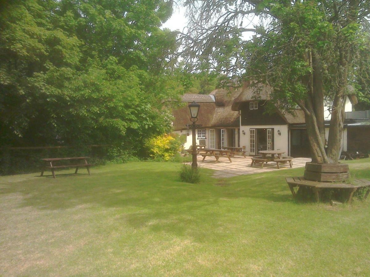 Alvediston The Crown Inn المظهر الخارجي الصورة