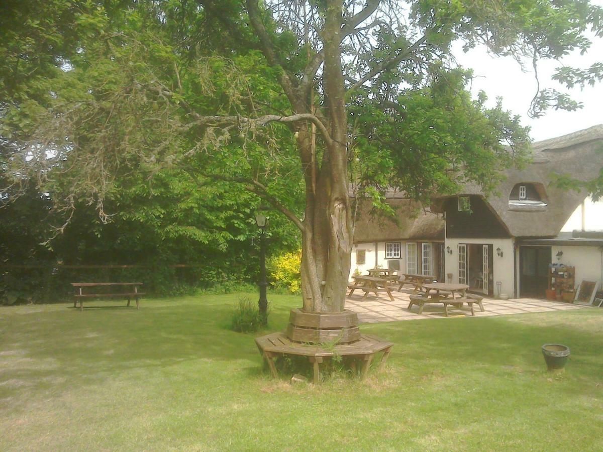 Alvediston The Crown Inn المظهر الخارجي الصورة